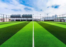 FIFA Anti-UV Synthetic Grass Football Grass Artificial Lawn