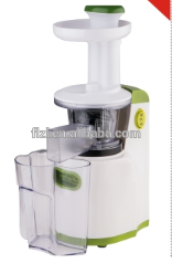 Best fruit vegetable juice extractor