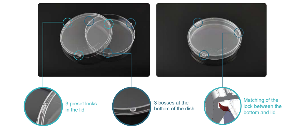 Petri dish with safelock design