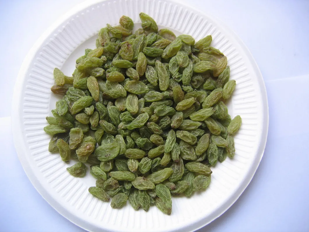 Chinese High Quality Hot Sale Green Raisins