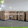 Factory Grossist Super Food Nutrition Ningxia Goji