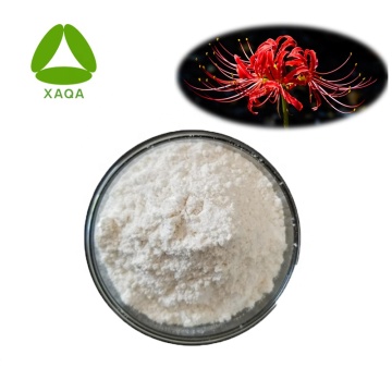 Poudre de bromhydrate de galantamine 99% d&#39;extrait de Lycoris Radiata