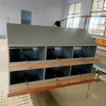 Chicken Coop Nesting Boxes for Laying Hens