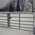 Galvanized horse fence panel