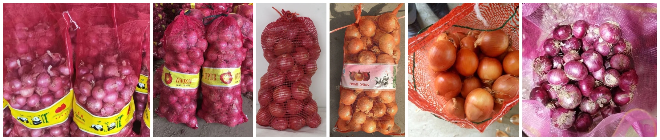 onion4 onion4