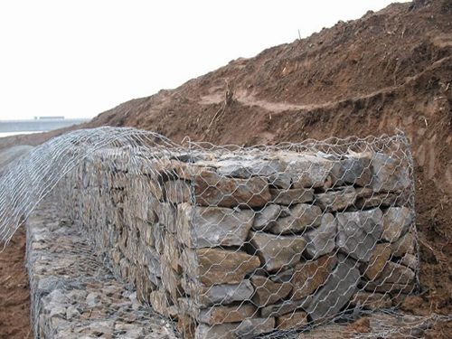 PVC coated terramesh gabion mesh(Professional manufacture)