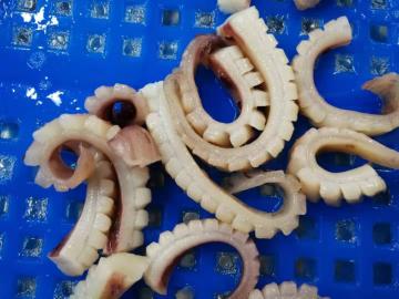 Frozen Squid Products Cutting Squid Flowers
