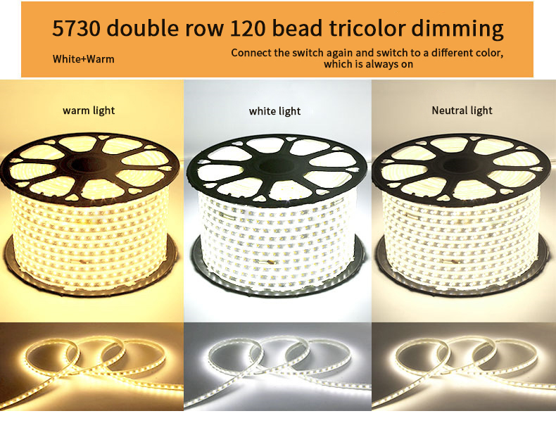 220V RGB 5050 Led Strip Flexible light Waterproof IP67 APP control Led Rope Light