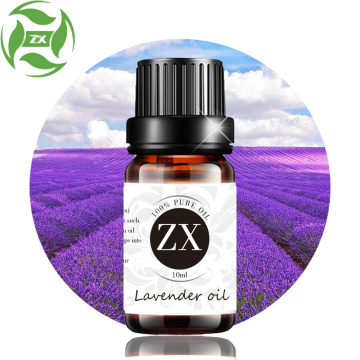 Kualitas Terbaik 100% Murni Terapi Kelas 10 Ml Minyak Lavender 6 Paket Aromaterapi Minyak Esensial untuk Diffuser Relaksasi Menenangkan