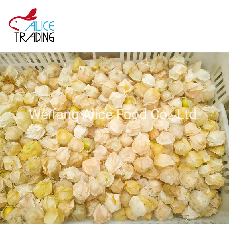 Dried Yellow Color with High Quality Dried Golden Berry