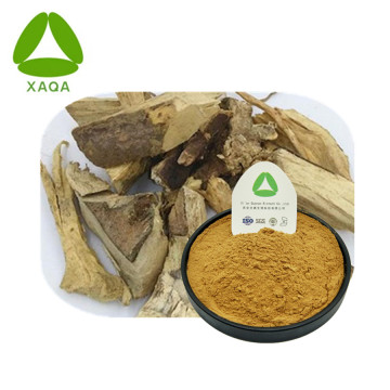 Roughhaired Holly Root Extract Powder Megan