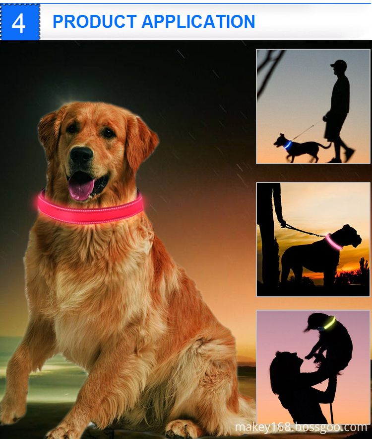 Led Rechargeable Dog Collar