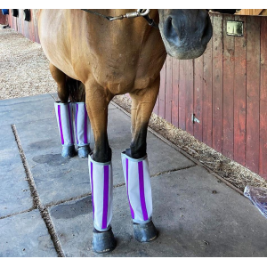 Equestrian Equipment Custom Cloth Horse Tendon