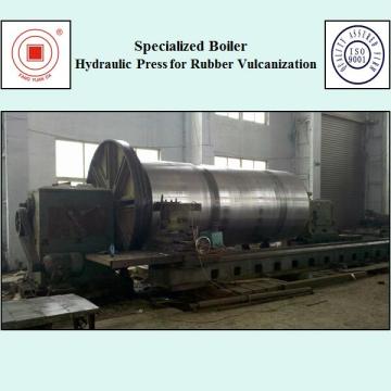 Specialized Boiler Hydraulic Press for Rubber Vulcanization