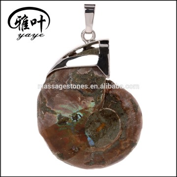 Ammonite Fossils Pendants Jewelry Fossil Pendants for Sale