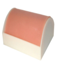 Dog muscle injection model