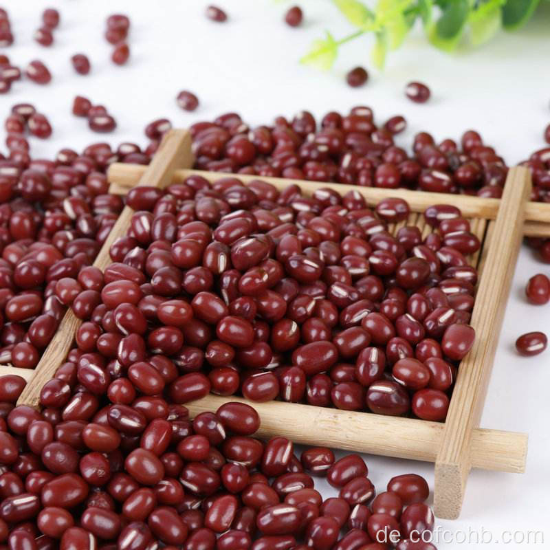 Adzuki Bean zu verkaufen