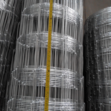 Grassland Fence-Hot dipped Galvanized Kraal Network Fence