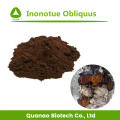 Extracto de hongo Chaga Inonotue Obliquus Polisacáridos 10%