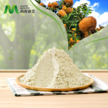 Hot Selling Superoxide Dismutase SOD Powder