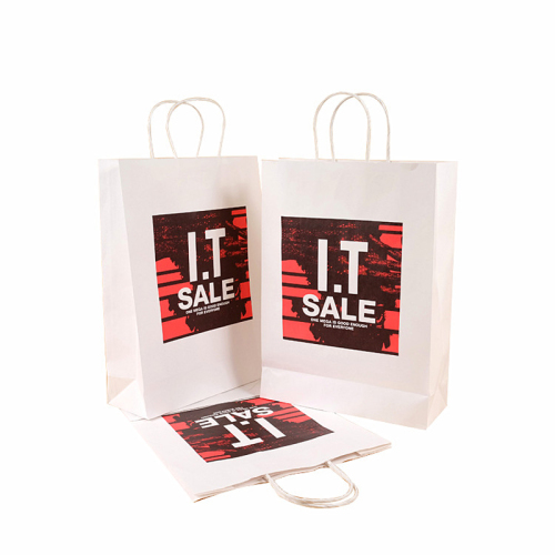Coated Paper Printing Hot Stamping Shopping Paper Bag