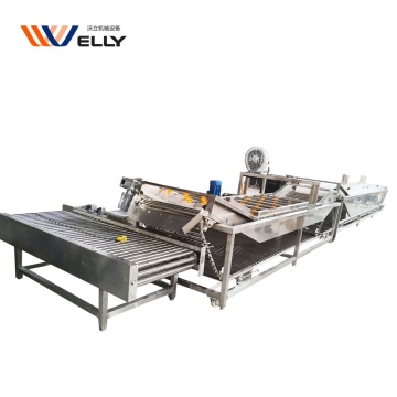 Roller Conveyor Type Hard Boiled Egg Cooker / Electric Egg Cooker Boiler / Egg Processing Line Machine