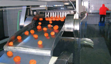 orange juice processing plant