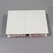 Insulated Eps Sandwich Panels for Roof and Swimming Pool Walls