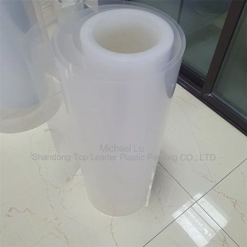 transparent pp sheet roll for Thermoforming trays