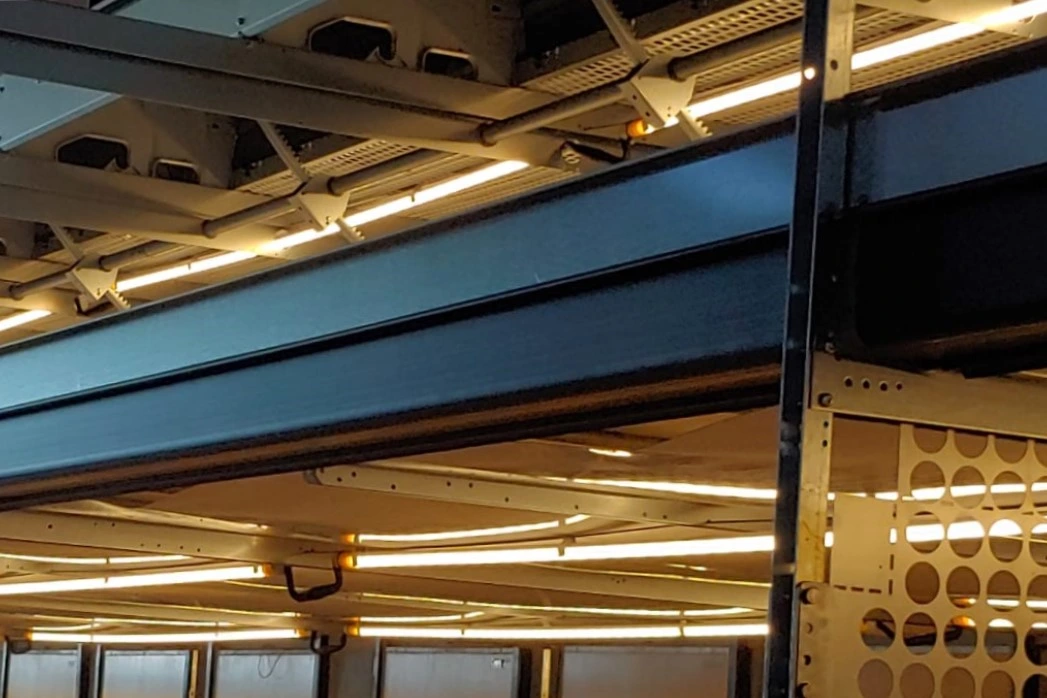 2020 Latest IP67 Corrosion-Proof CCT Switchable DC48V T6 LED Lighting for Layer Cage