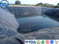 Films HDPE transparents pour piscines/agriculture/membrane étanche