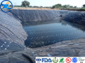 Film HDPE Transparan untuk Kolam Renang / Pertanian / Membran Tahan Air