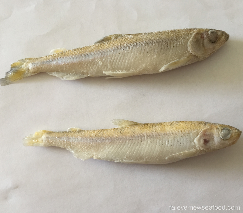 بوی حوض تازه یخ زده خوشمزه