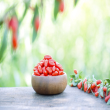 Zertifizierter heißer Verkauf organische chinesische wolfberry