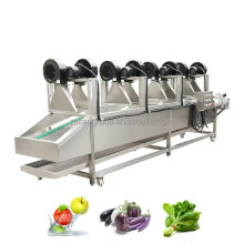 Baby Spinach and Leafy Vegetables Processing Packing Production Line