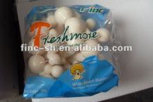 shimeji white beech mushroom