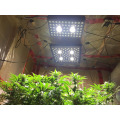 Светодиодный светильник для выращивания растений регулируемого спектра мощностью 2000 Вт, PPF, 1142 мкмоль / с