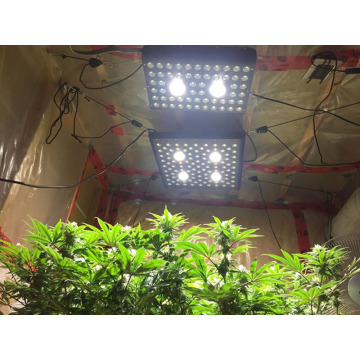 Luzes LED de alta eficiência de 1200 watts