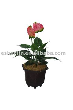 wholesale anthurium plastic flower bonsai