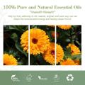 Hot Selling Product Carrier Oil Calendula Oil Organic And Pure Calendula Carrier Oil