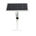 Telecamera IP di sicurezza wireless 1080P Solar Power