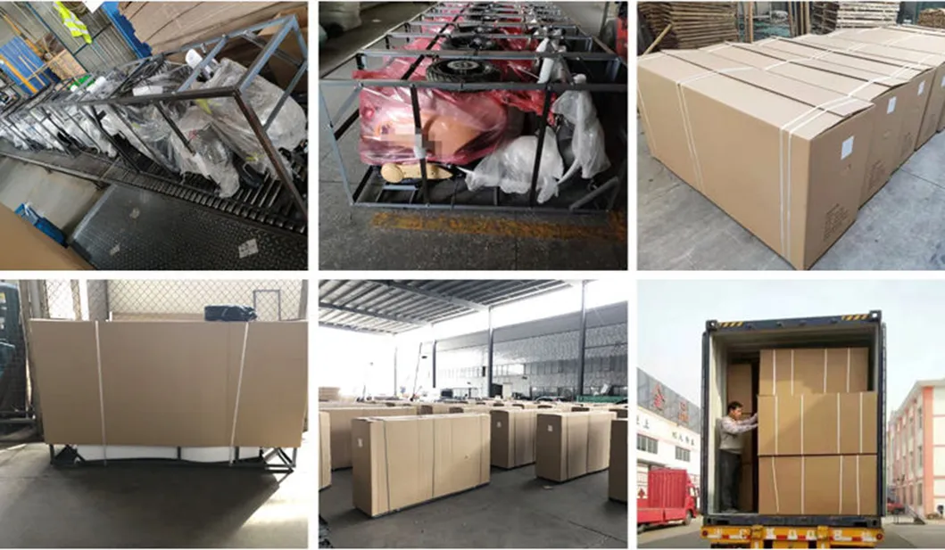 Electric Tricycle, Trike, Cargo Motorcycle, E Passenger Vehicle