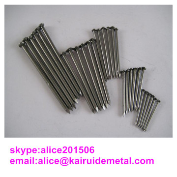 Iron Material Nail Common Iron Nail