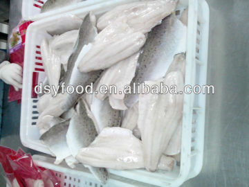 Frozen Sea bass fillet fish