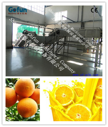 fruit juice processing line