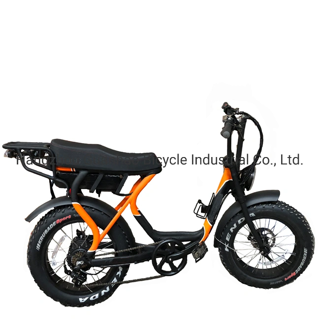 20inch En15194/CE OEM/ODM Samsung 17ah Battery New Ebike with Motor 48V 1000W Fat Tire Super 73 Electric Bike