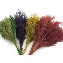 Everlasting Real Foliage: Preserved Stone Pine Leaves Lasting 5 Years