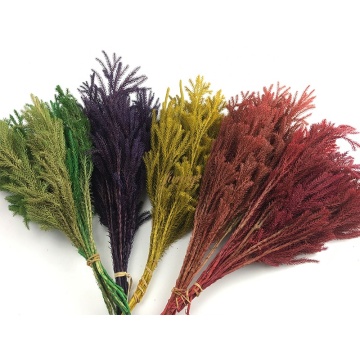 Everlasting Real Foliage: Preserved Stone Pine Leaves Lasting 5 Years