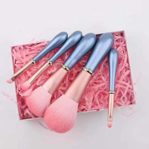 5pcs pinceaux de maquillage set mini-brosses cosmétiques portables