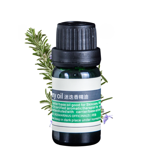 Rosemary Oil Rosmarinus officinalis 100% Aromaterapi Yağı